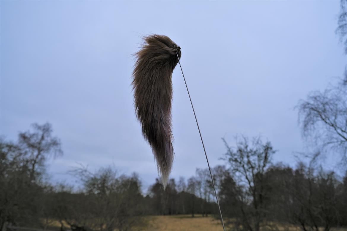 Honda GL1200A Goldwing Aspencade billede 15