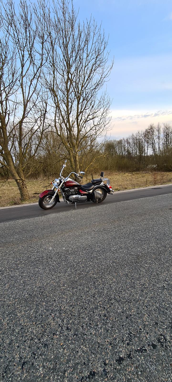 Suzuki suzuki intruder velusia  billede 8