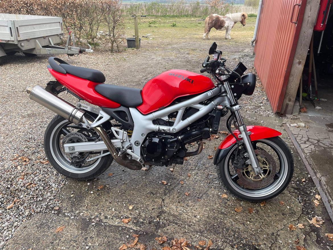 Suzuki sv650n billede 8