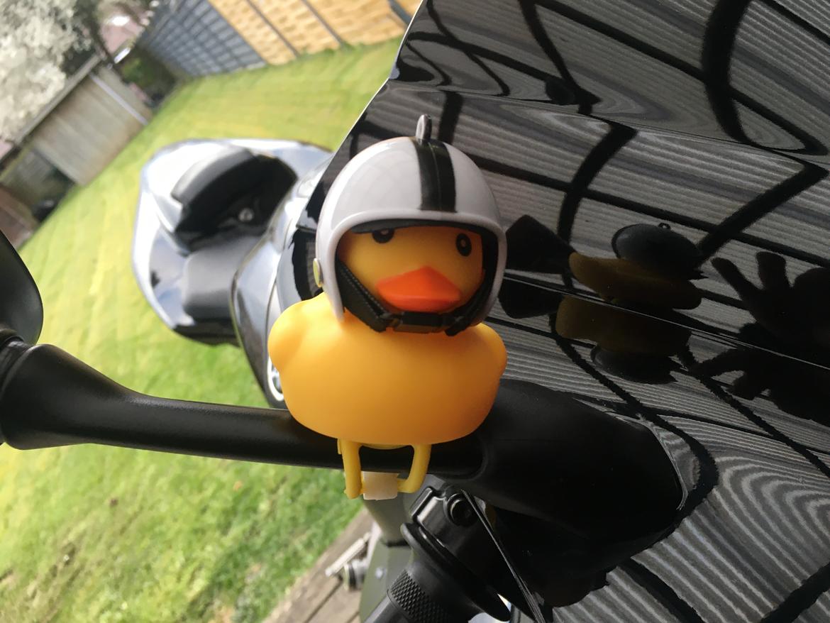 Yamaha YZF-R1 billede 6