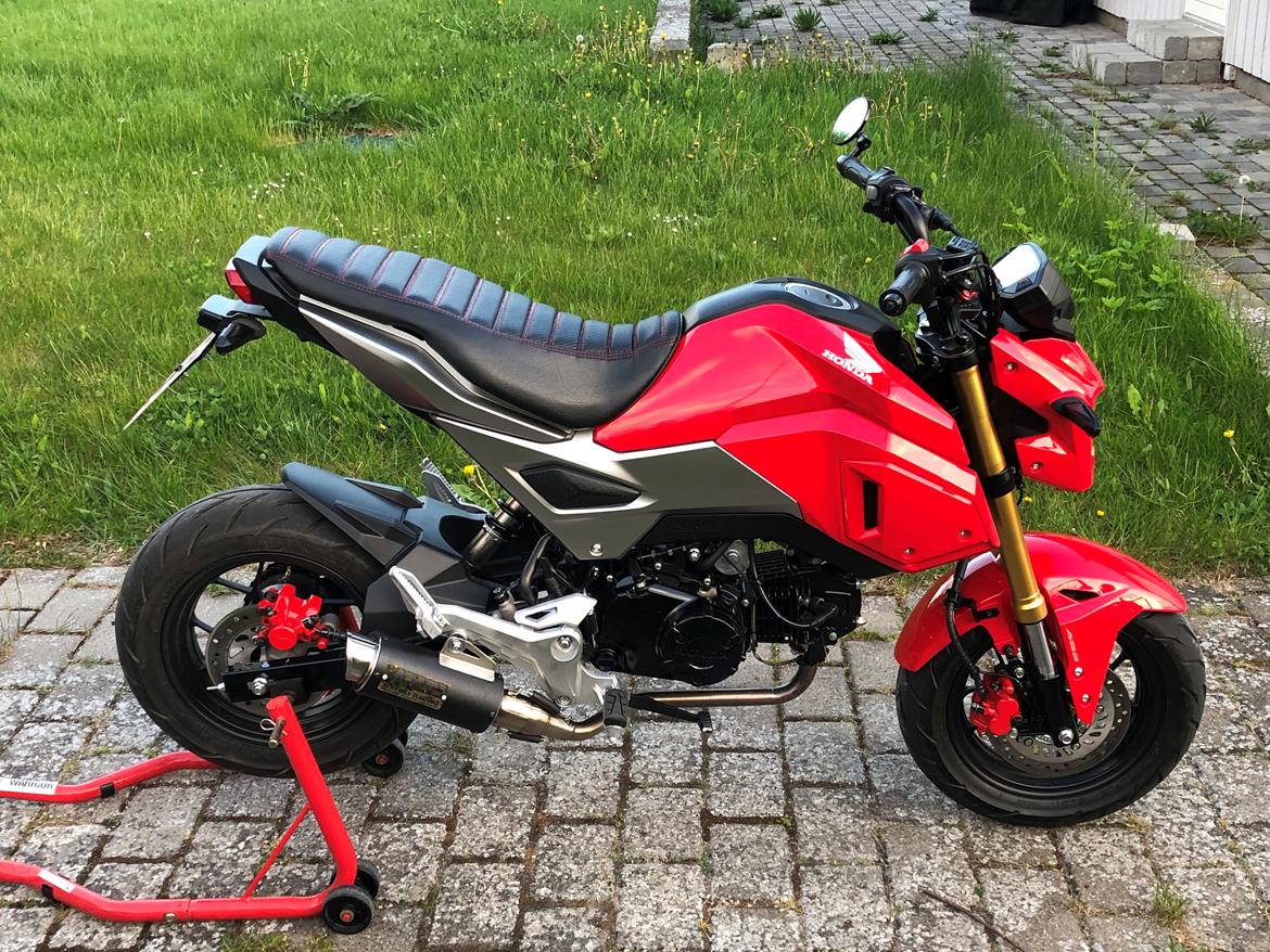 Honda MSX 125 Grom billede 1