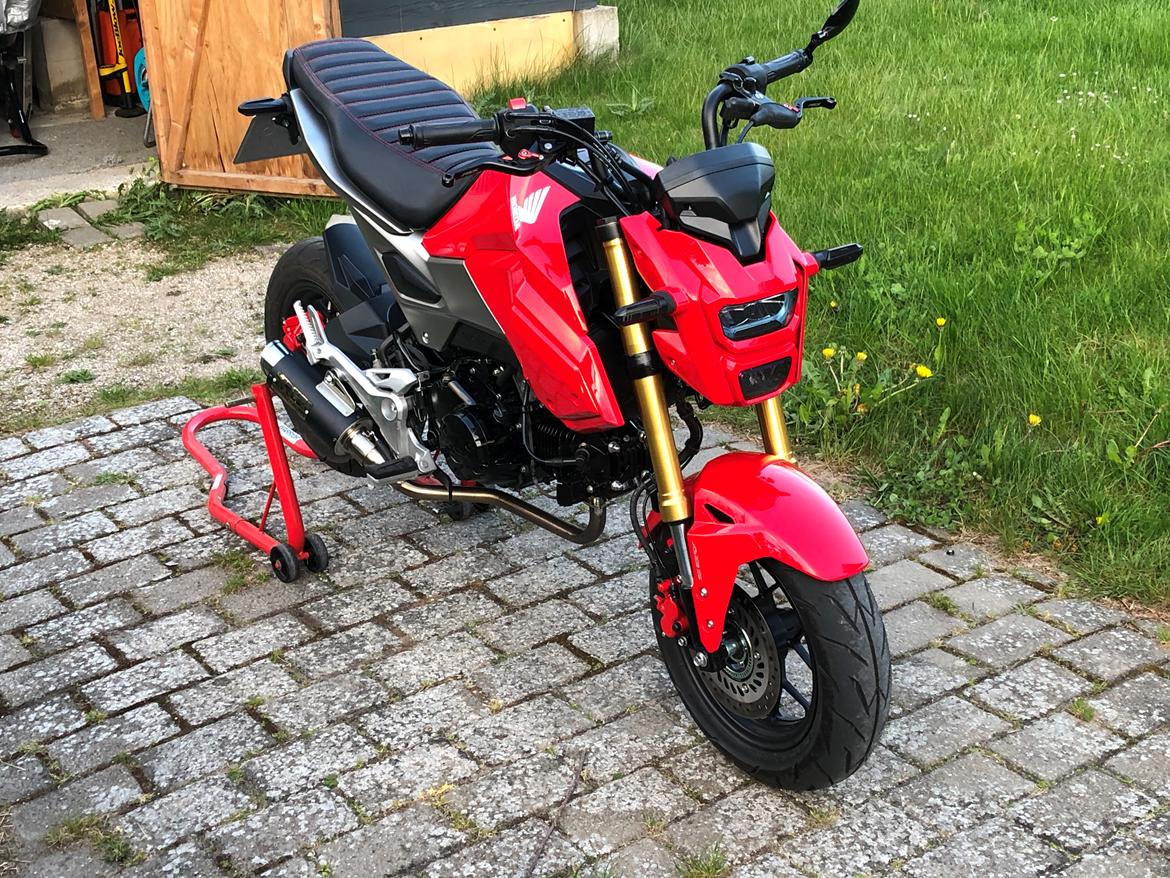 Honda MSX 125 Grom billede 3