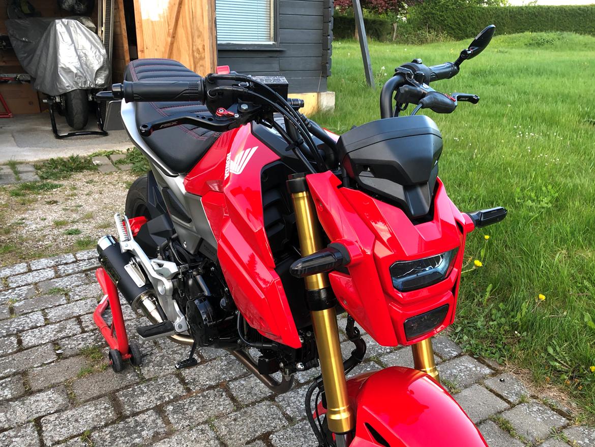 Honda MSX 125 Grom billede 12