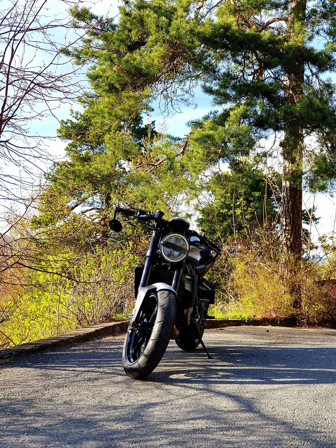 Husqvarna Vitpilen 701 billede 1