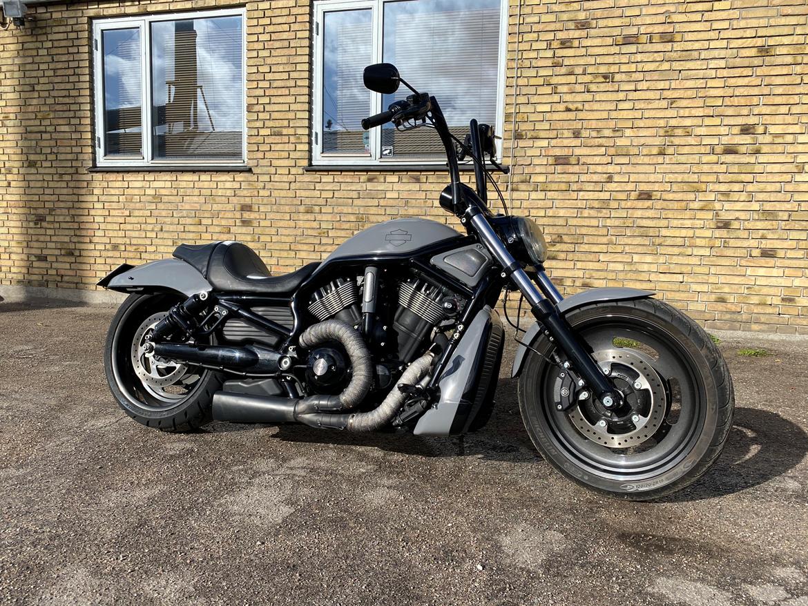 Harley Davidson Night rod speciel billede 1