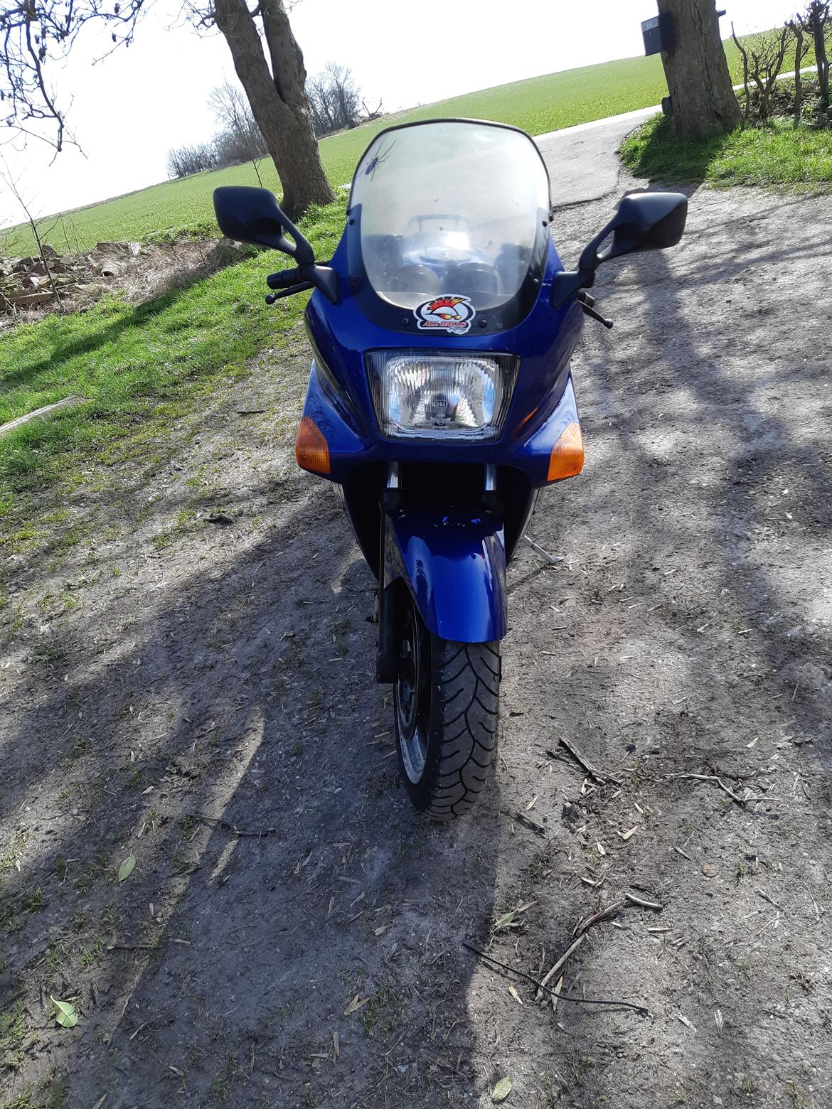 Kawasaki ZX-10 Tomcat billede 4