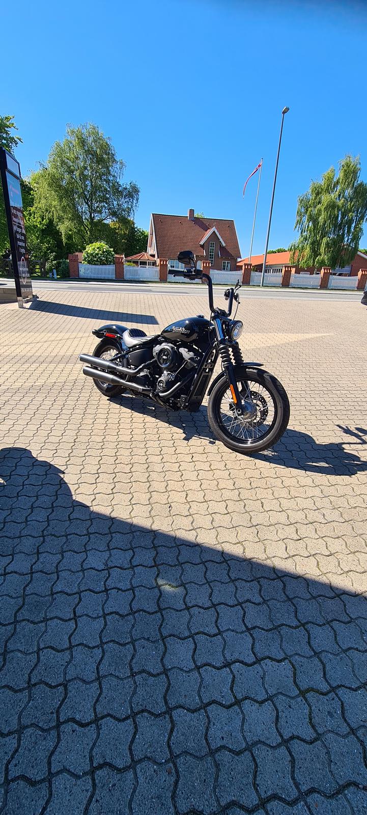 Harley Davidson streetbob fxbb 2020  billede 13