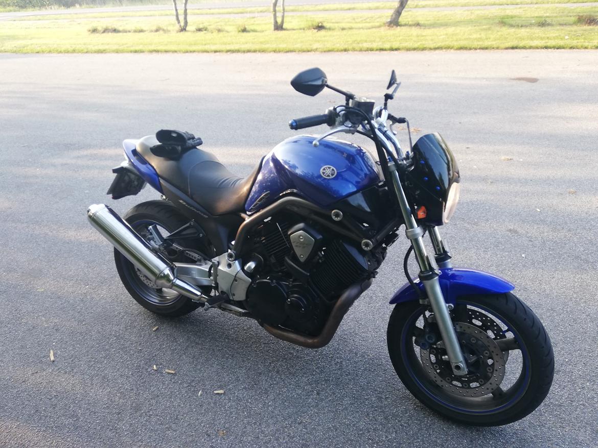 Yamaha BT 1100 Bulldog billede 2
