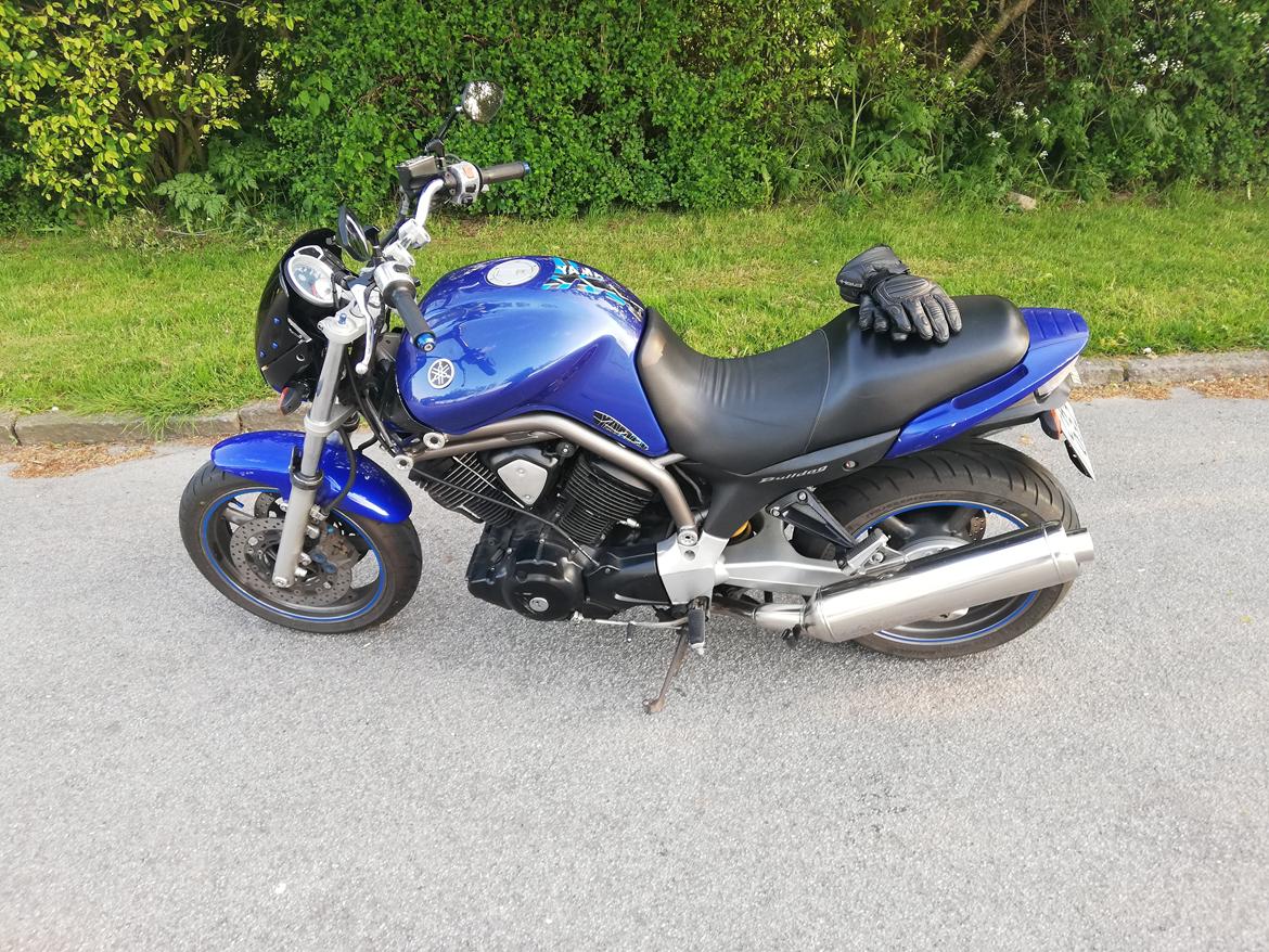 Yamaha BT 1100 Bulldog billede 1