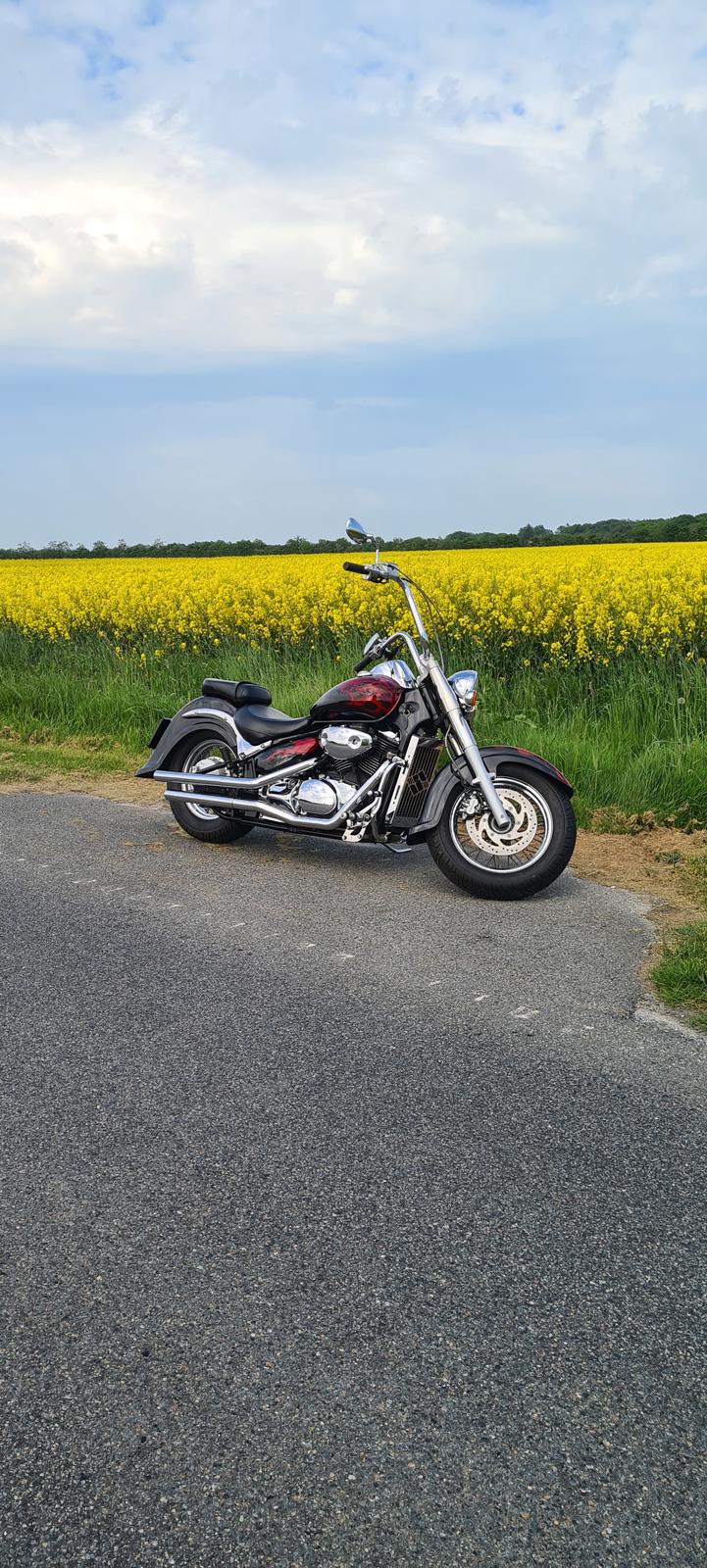 Suzuki suzuki intruder velusia  billede 17