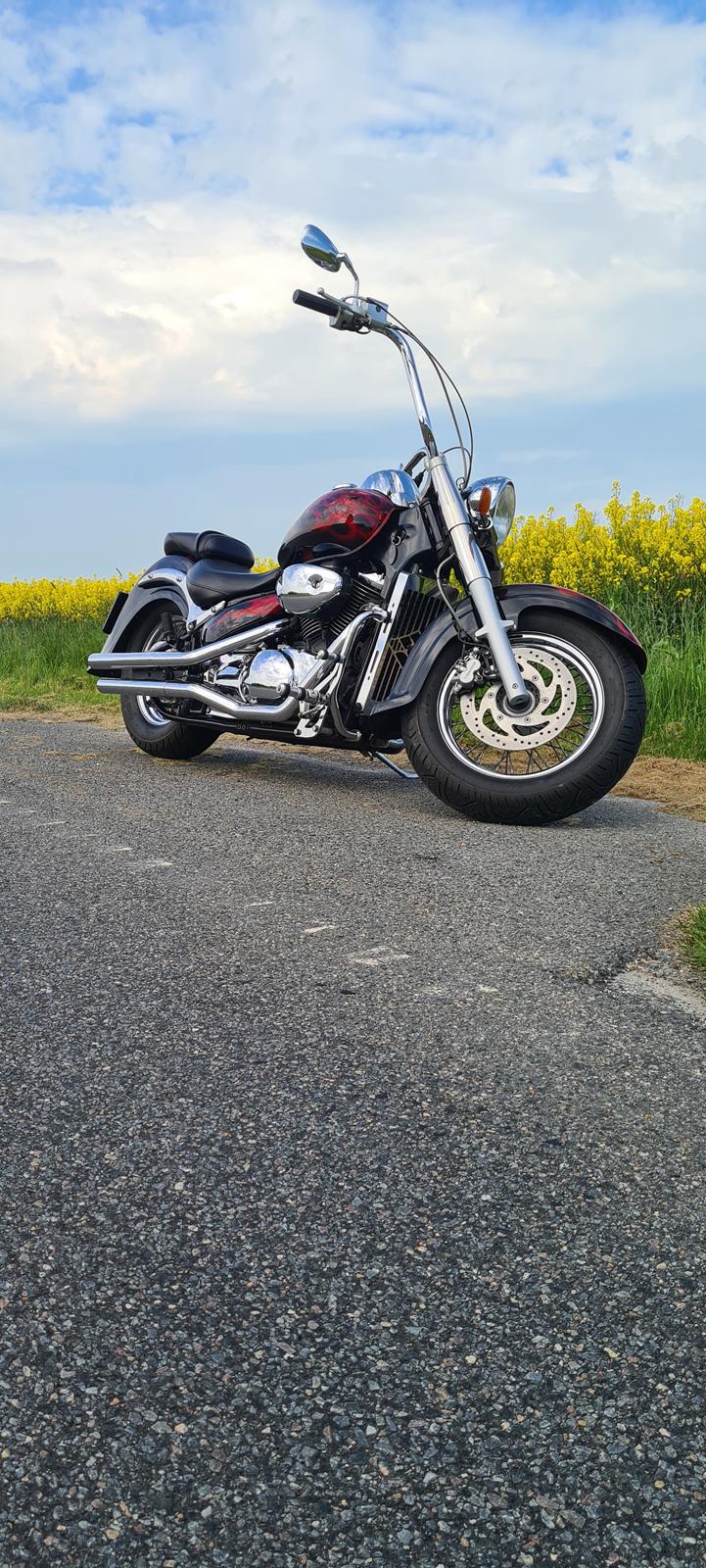 Suzuki suzuki intruder velusia  billede 16