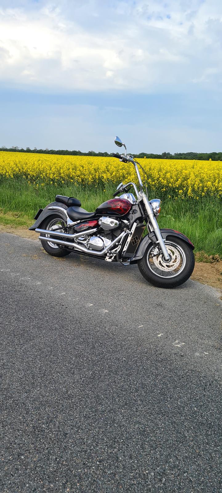 Suzuki suzuki intruder velusia  billede 13