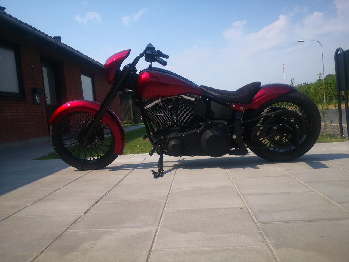 Harley Davidson softail  billede 5