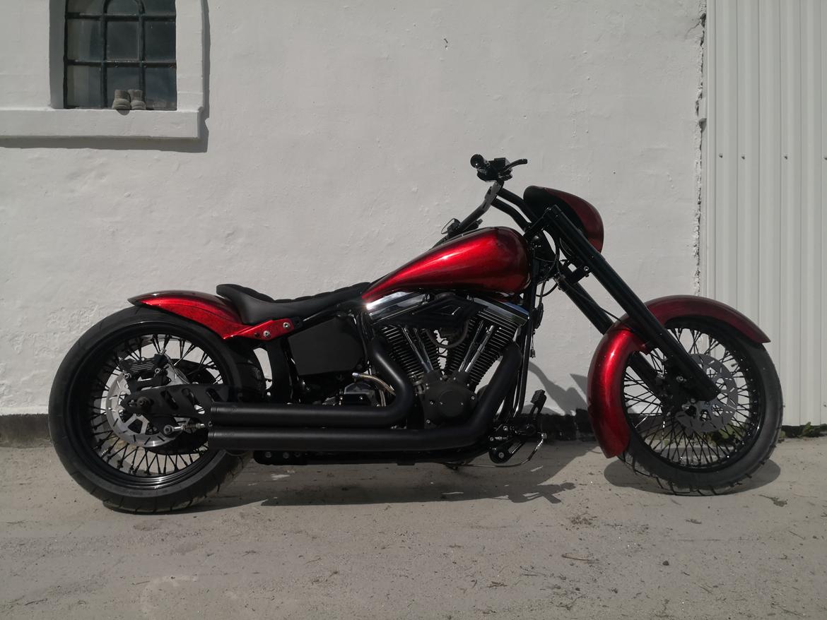 Harley Davidson softail  billede 13