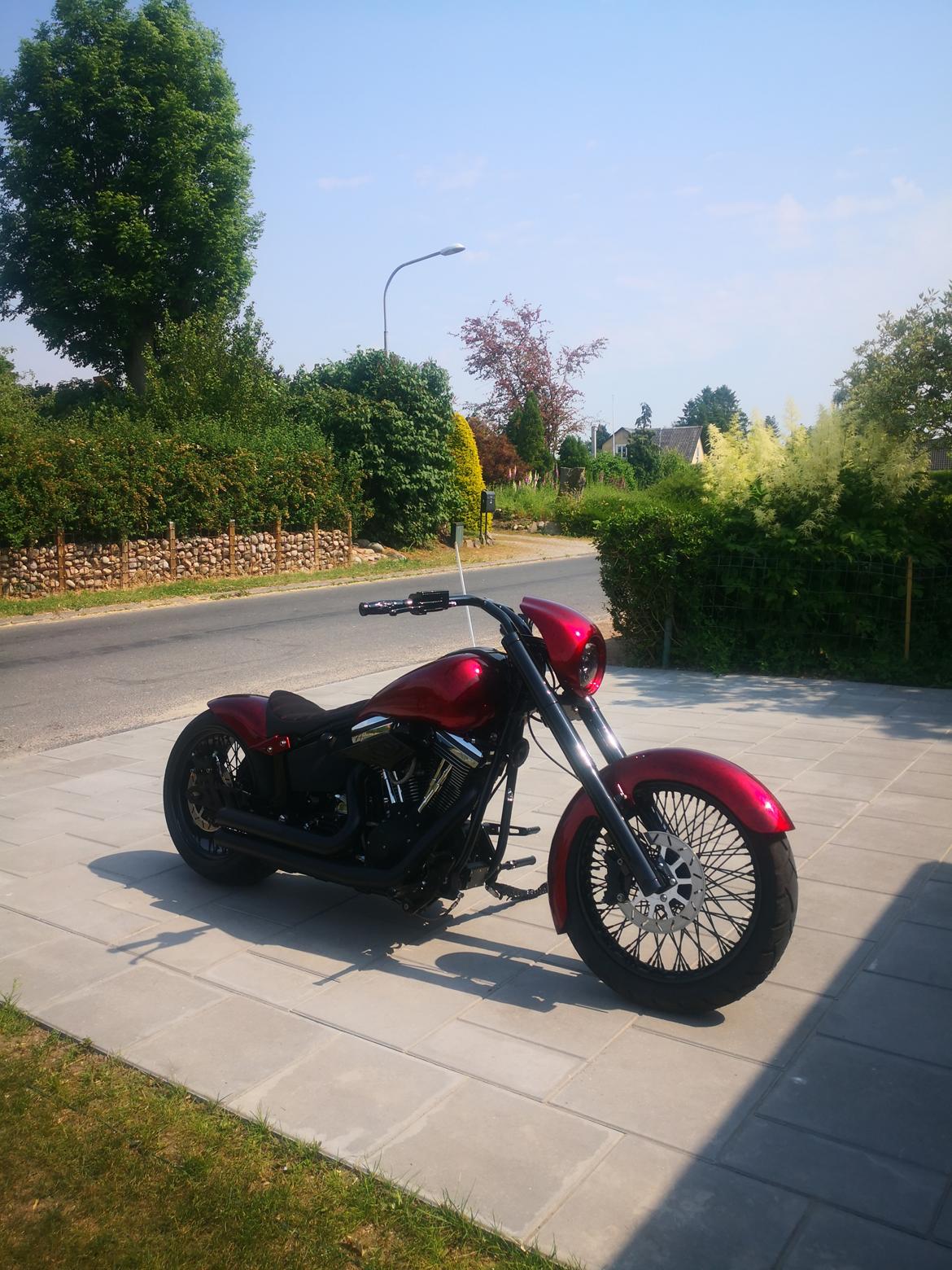 Harley Davidson softail  billede 4