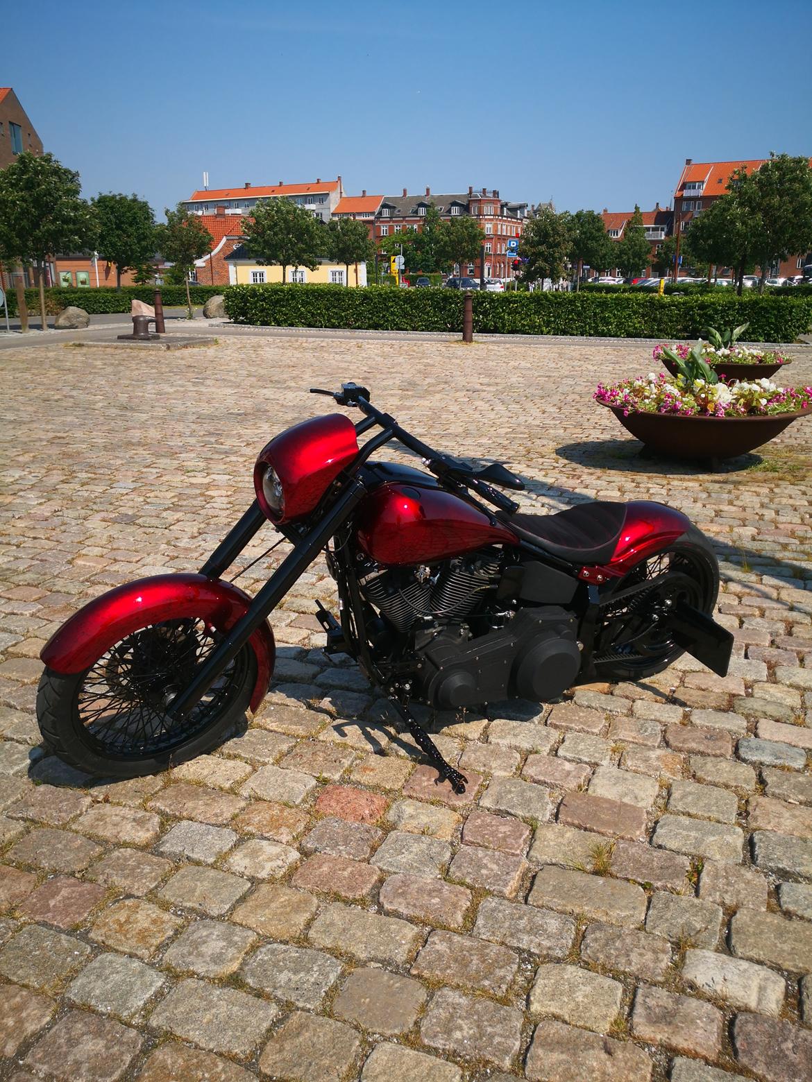 Harley Davidson softail  billede 1