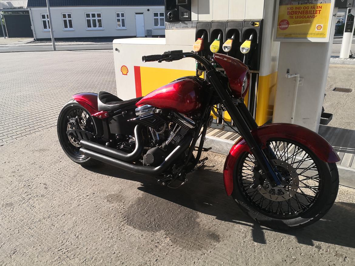 Harley Davidson softail  billede 6