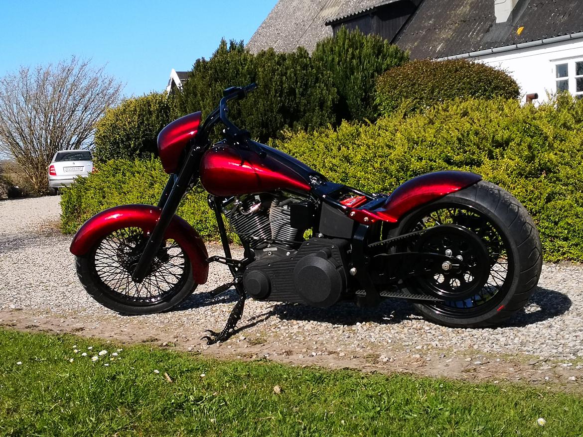 Harley Davidson softail  billede 19
