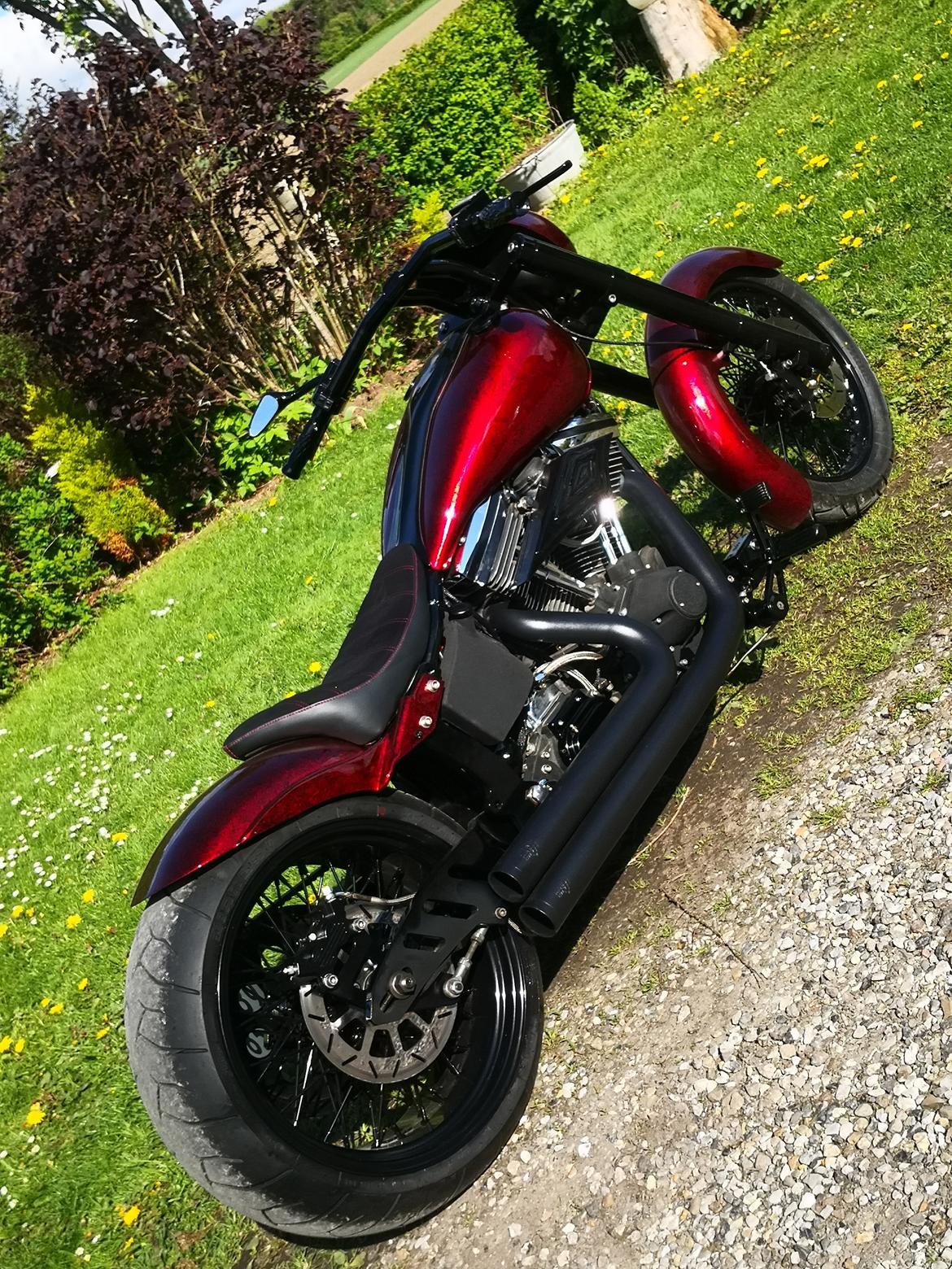 Harley Davidson softail  billede 15