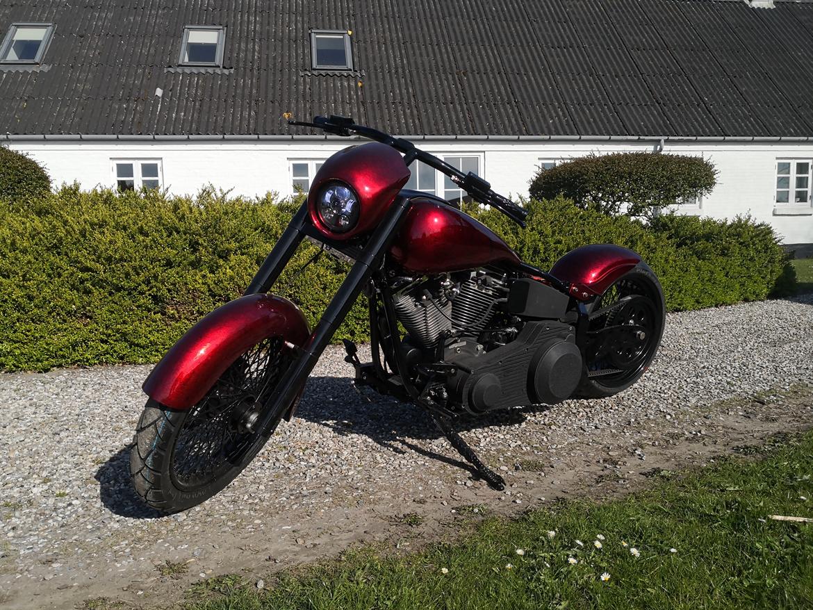 Harley Davidson softail  billede 20