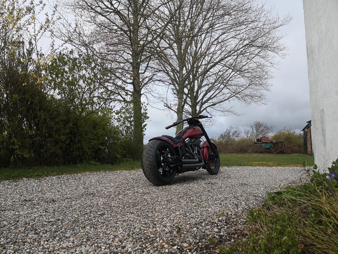 Harley Davidson softail  billede 17