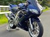 Suzuki SV 1000s