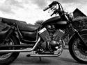 Yamaha Virago 535