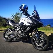 Kawasaki Versys 650