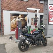 Kawasaki ZX10R - Ninja