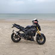 Kawasaki ZX10R - Ninja