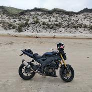 Kawasaki ZX10R - Ninja