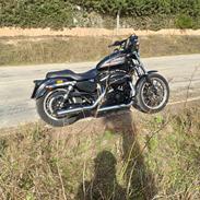 Harley Davidson Sportster R 883