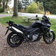 Suzuki DL 650 V-Strom