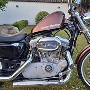 Harley Davidson Sportster 883