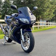 Suzuki SV 1000s