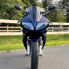 Suzuki SV 1000s