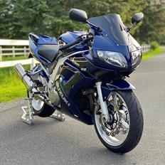 Suzuki SV 1000s