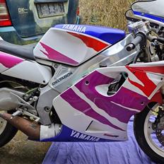 Yamaha TZR 125RR Belgarda 4DL-3