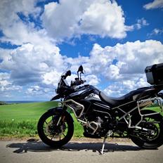 Triumph Tiger 900 GT Pro