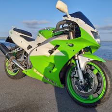 Kawasaki Zxr 400 Ninja 