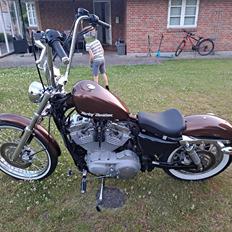 Harley Davidson Sportster 883