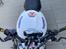 Triumph Speed Triple (SOLGT)