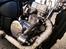 Regal Raptor 125 CC