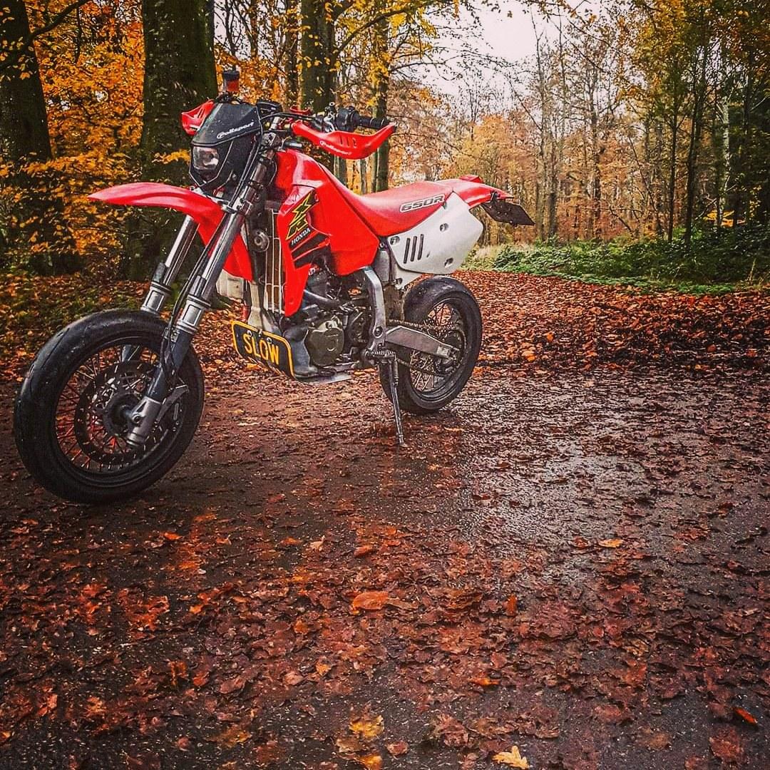 Honda XR650R billede 7