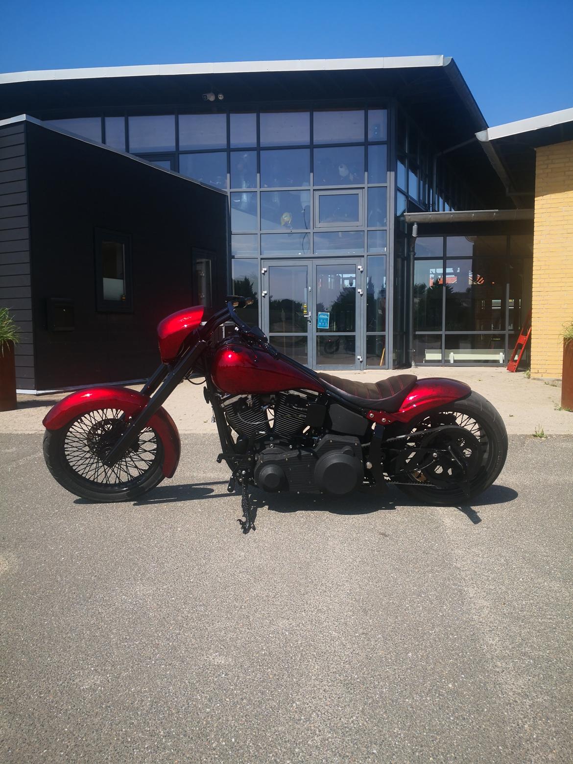 Harley Davidson softail  billede 25