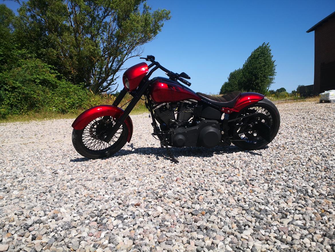 Harley Davidson softail  billede 22