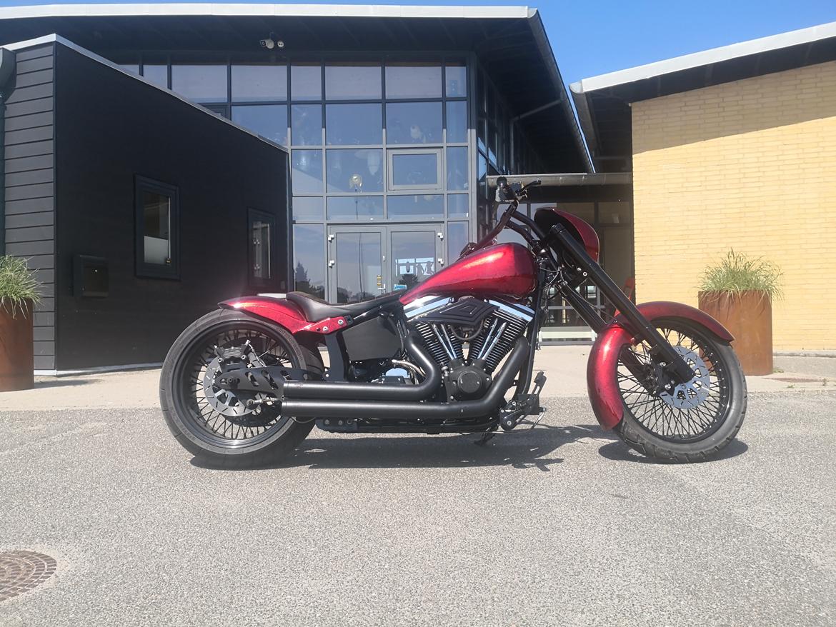 Harley Davidson softail  billede 26