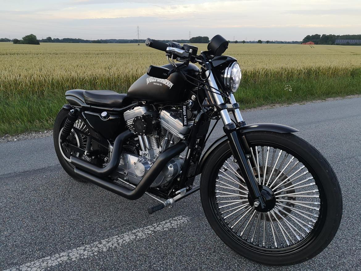 Harley Davidson 883 XLH billede 8