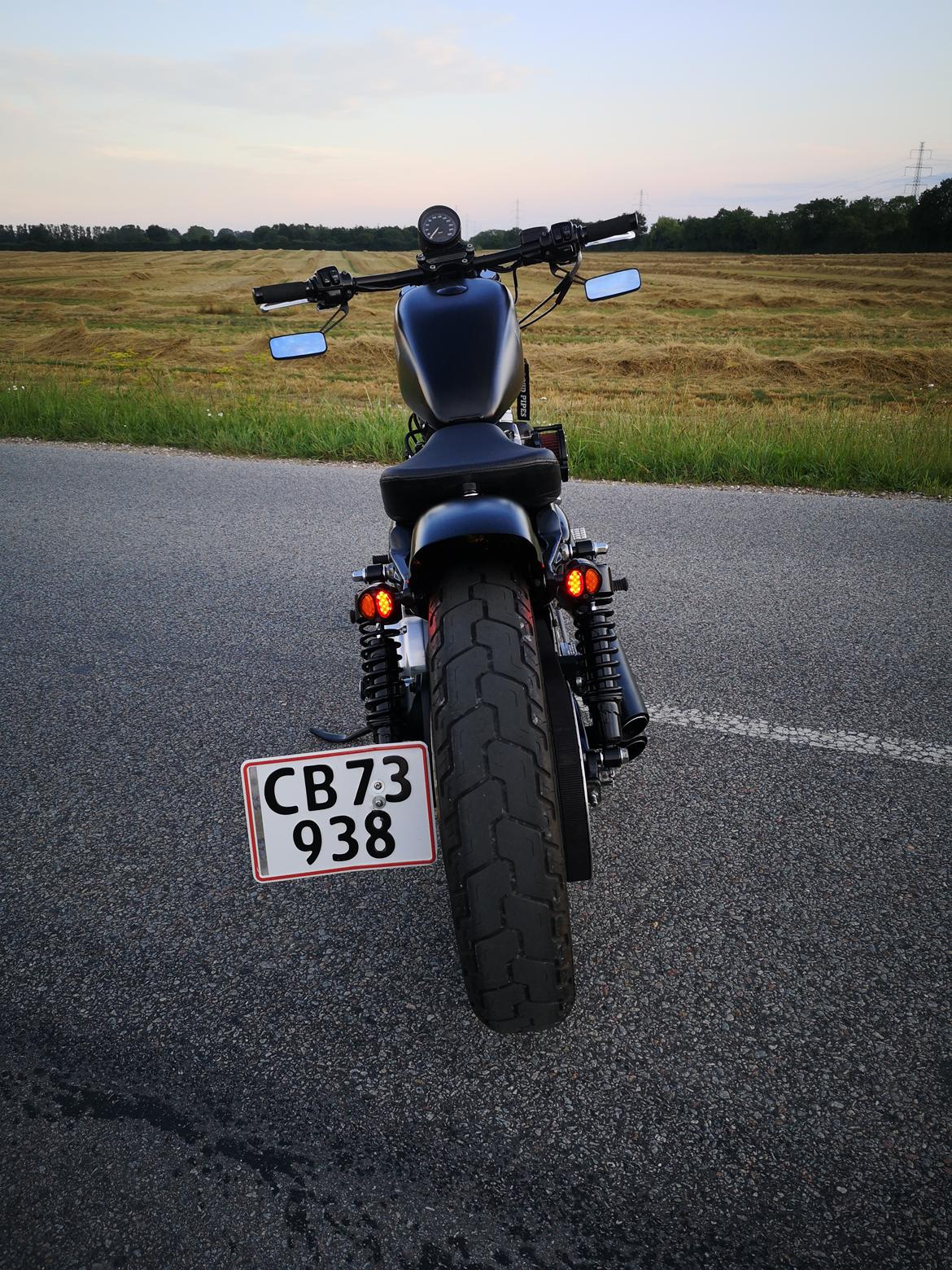 Harley Davidson 883 XLH billede 6