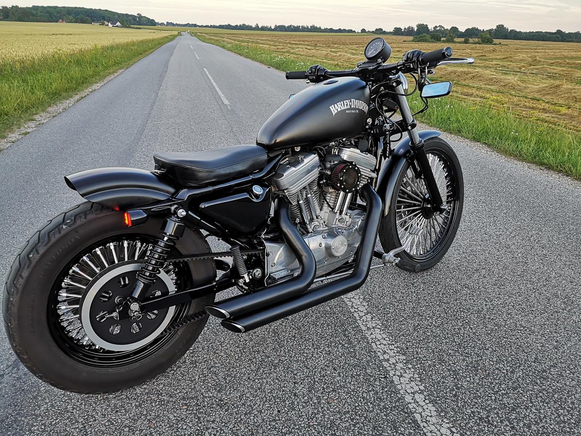 Harley Davidson 883 XLH billede 11